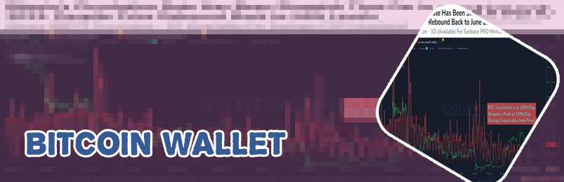 6 digit bitcoin code