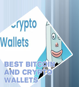 Best crypto wallet usa