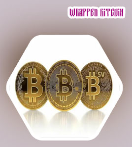 Bitcoin bsv