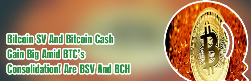 Bitcoin sv stock