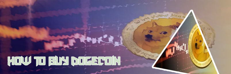 Buy dogecoin stock coinbase