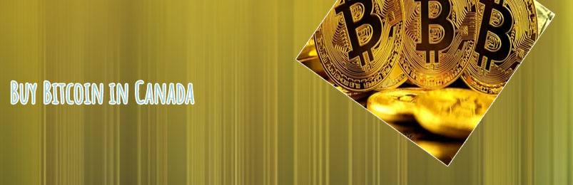 Buys more bitcoin price