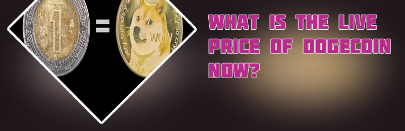 Dogecoin value now