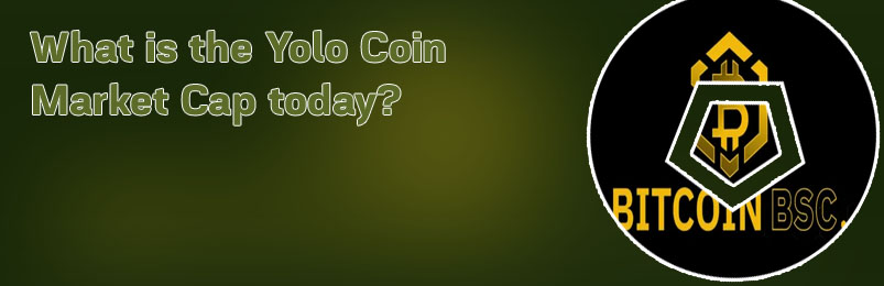 How to buy yolo bsc crypto