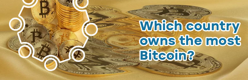 Who own the most bitcoin